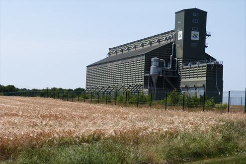 Noriap carrière