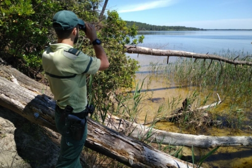 Office National des Forêts recrutement