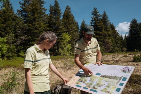 Offres d'emploi Office National des Forêts
