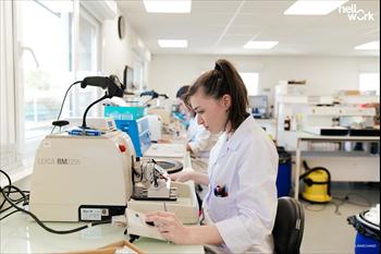 OUEST PATHOLOGIE recrutement