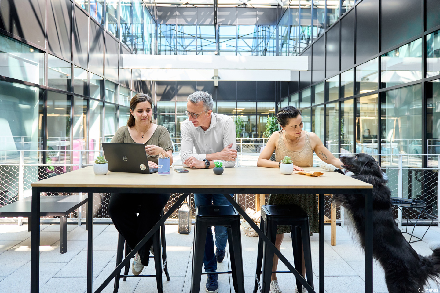 Santévet Group emploi
