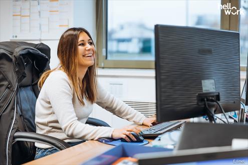 Offres d'emploi SAPIAN