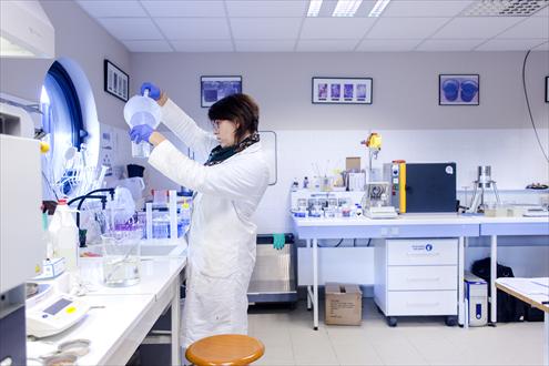 Offres d'emploi Semosia