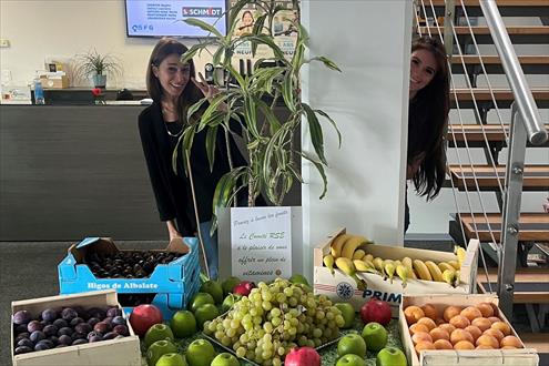Société Française de Garantie emploi