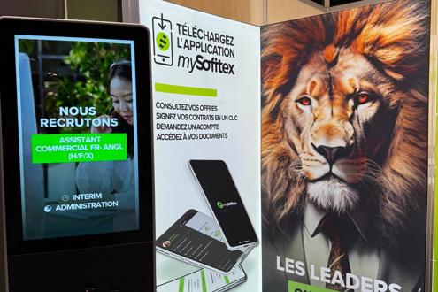 Sofitex Experts carrière