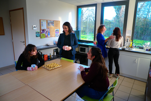 Solutions Compétences emploi