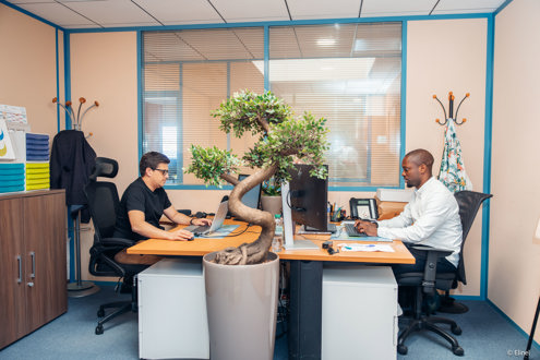 TECNIZY-GCAT GROUP Emploi