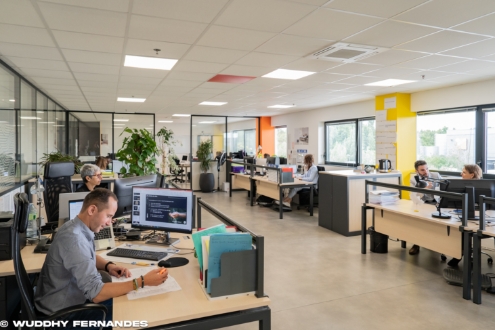 Tempur Sealy France emploi