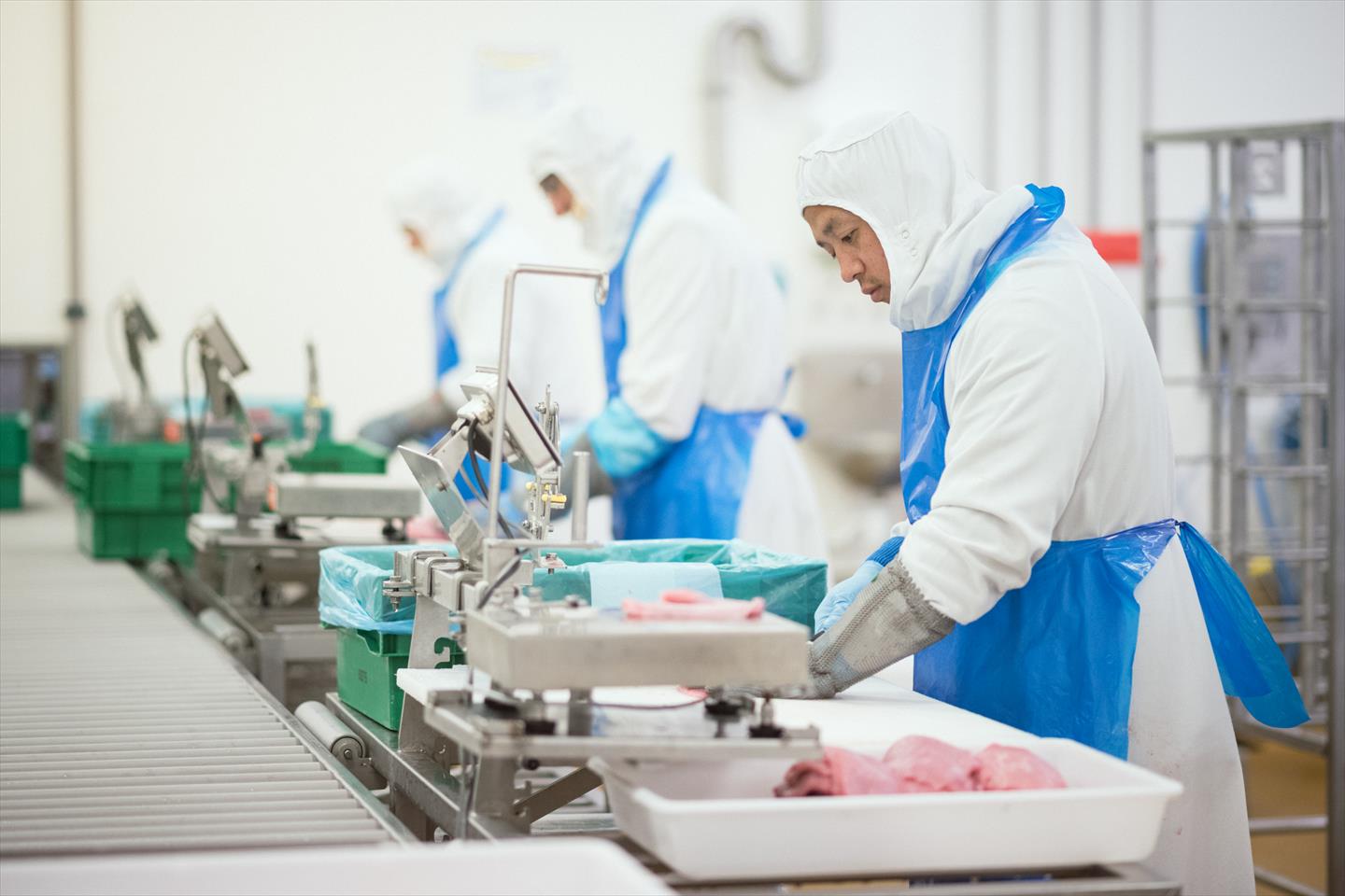 Tendriade emploi