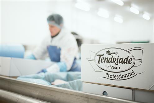 Tendriade carrière