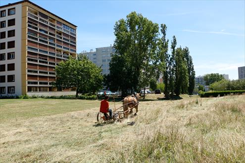 Postuler chez Terideal
