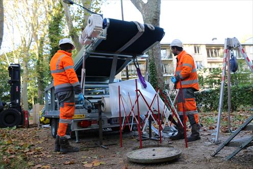 Terideal carrière