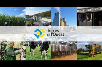 Terres de l'Ouest recrutement