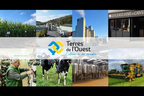 Terres de l'Ouest Emploi