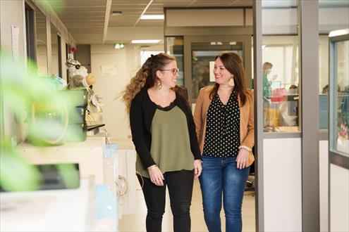 Texdecor Group emploi