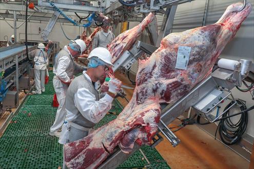 Tradival emploi