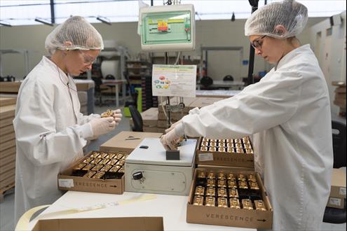 Trigo emploi