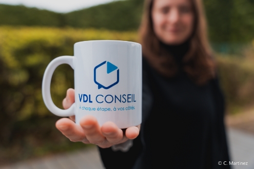 Postuler chez VDL Conseil