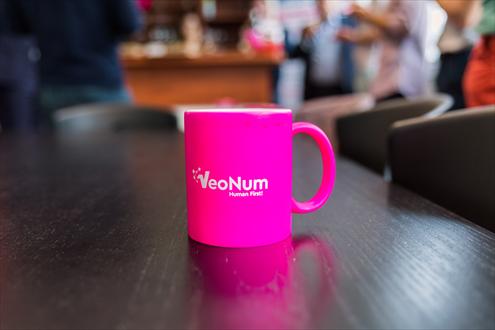 Postuler chez VeoNum