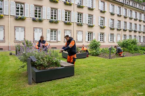 Offres d'emploi Ville de Mulhouse