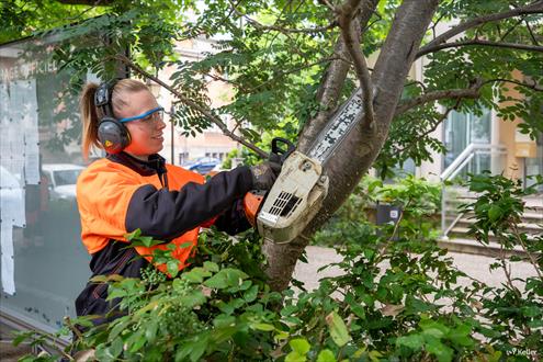 Ville de Mulhouse recrutement