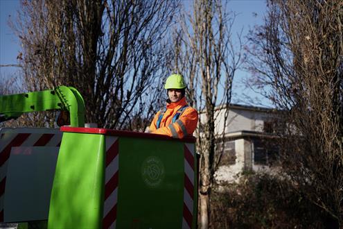 Postuler chez Ville de Mulhouse
