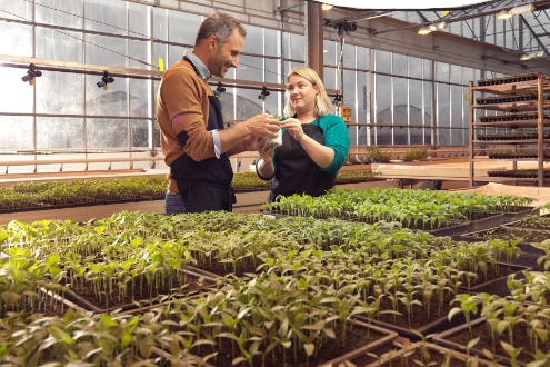 Vilmorin Jardin - Groupe Limagrain recrutement