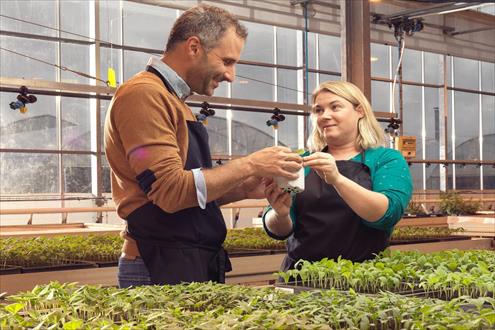 Vilmorin-Mikado - Groupe Limagrain recrutement