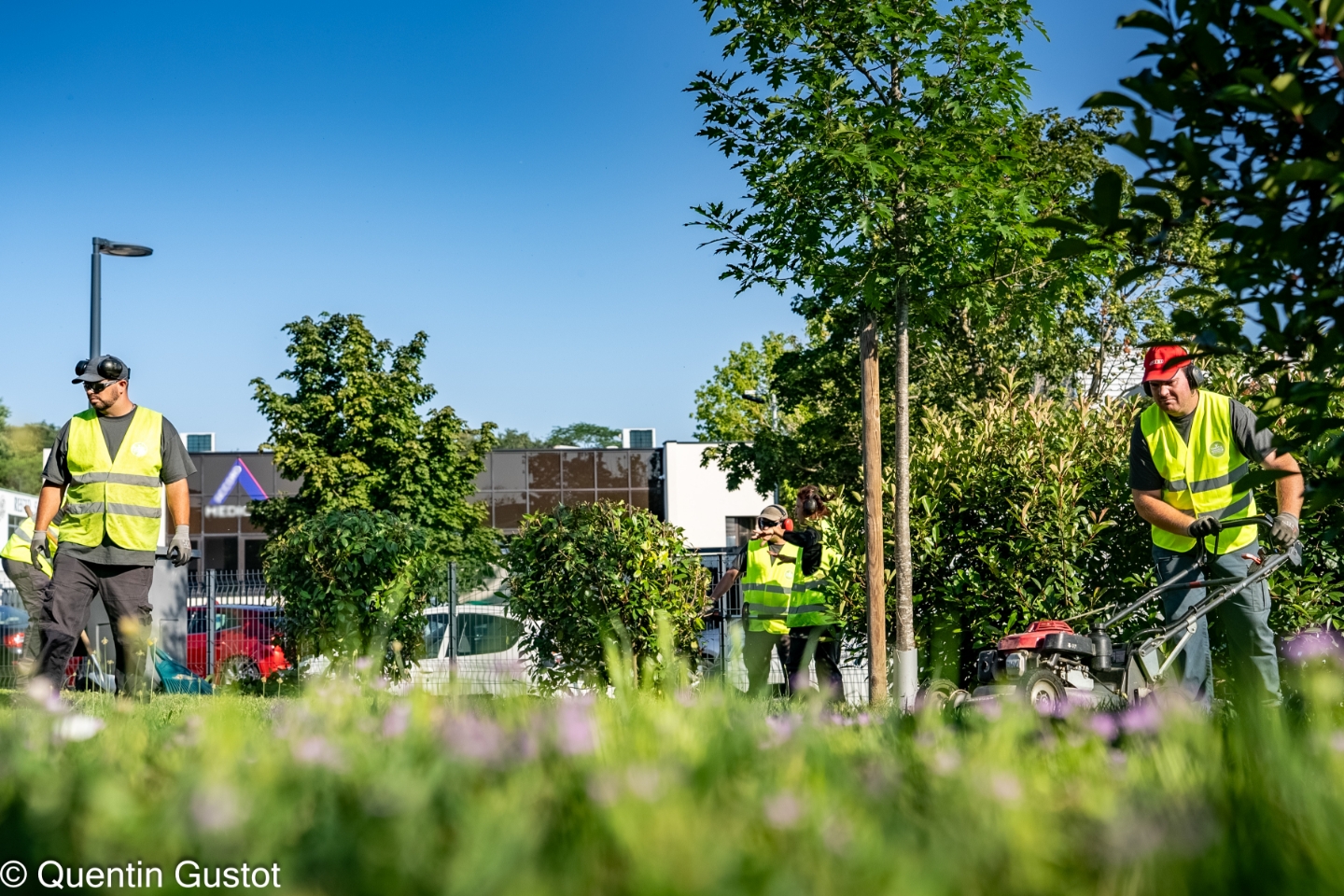 YMCA Services Occitanie emploi