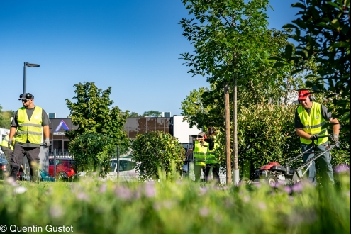 YMCA Services Occitanie Emploi