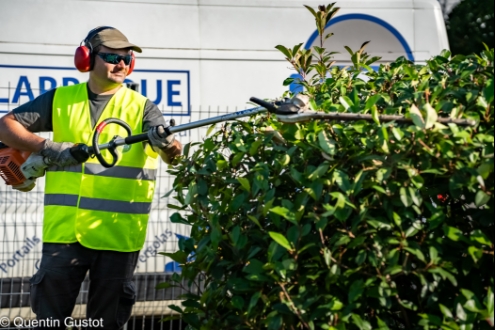 Offres d'emploi YMCA Services Occitanie