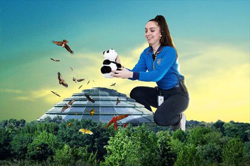 Offres d'emploi ZooParc de Beauval