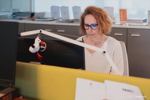 Majorian recrutement