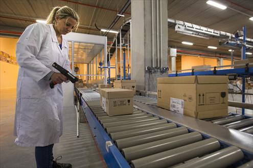 Alloga Recrutement recrutement