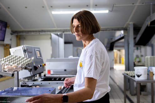 Offres d'emploi BD France
