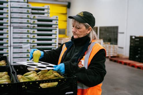 Offres d'emploi Fruidor