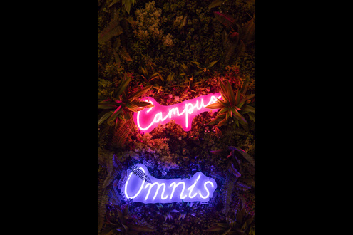Postuler chez OMNIS