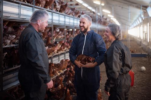 Offres d'emploi Terrena