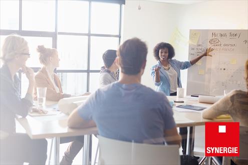 Groupe Synergie Emploi