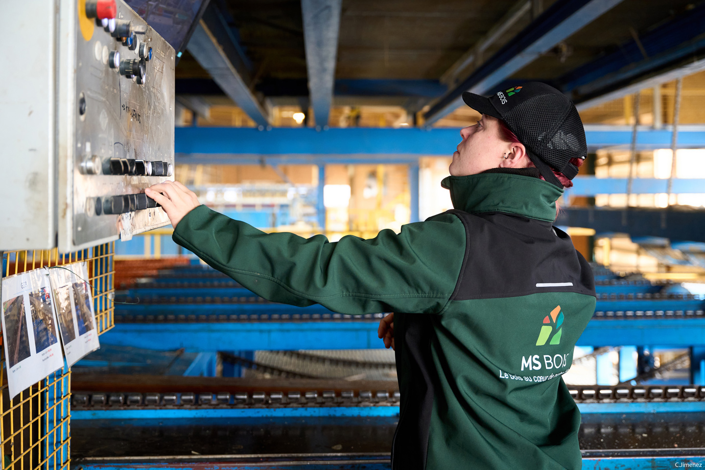 MS BOIS emploi