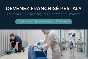 Pestaly recrutement