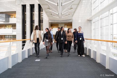 Reisel Emploi
