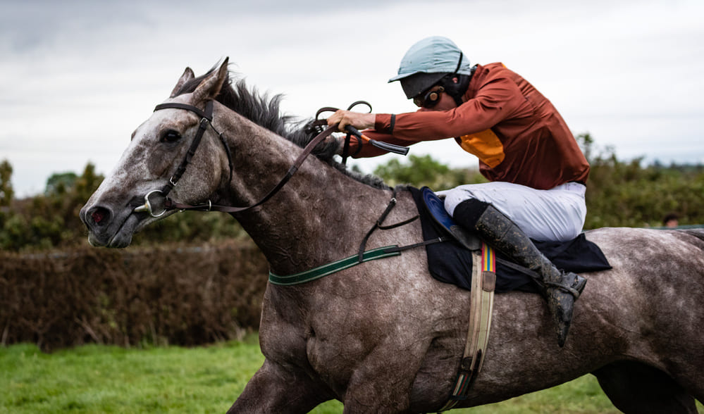Devenir Jockey Jockey