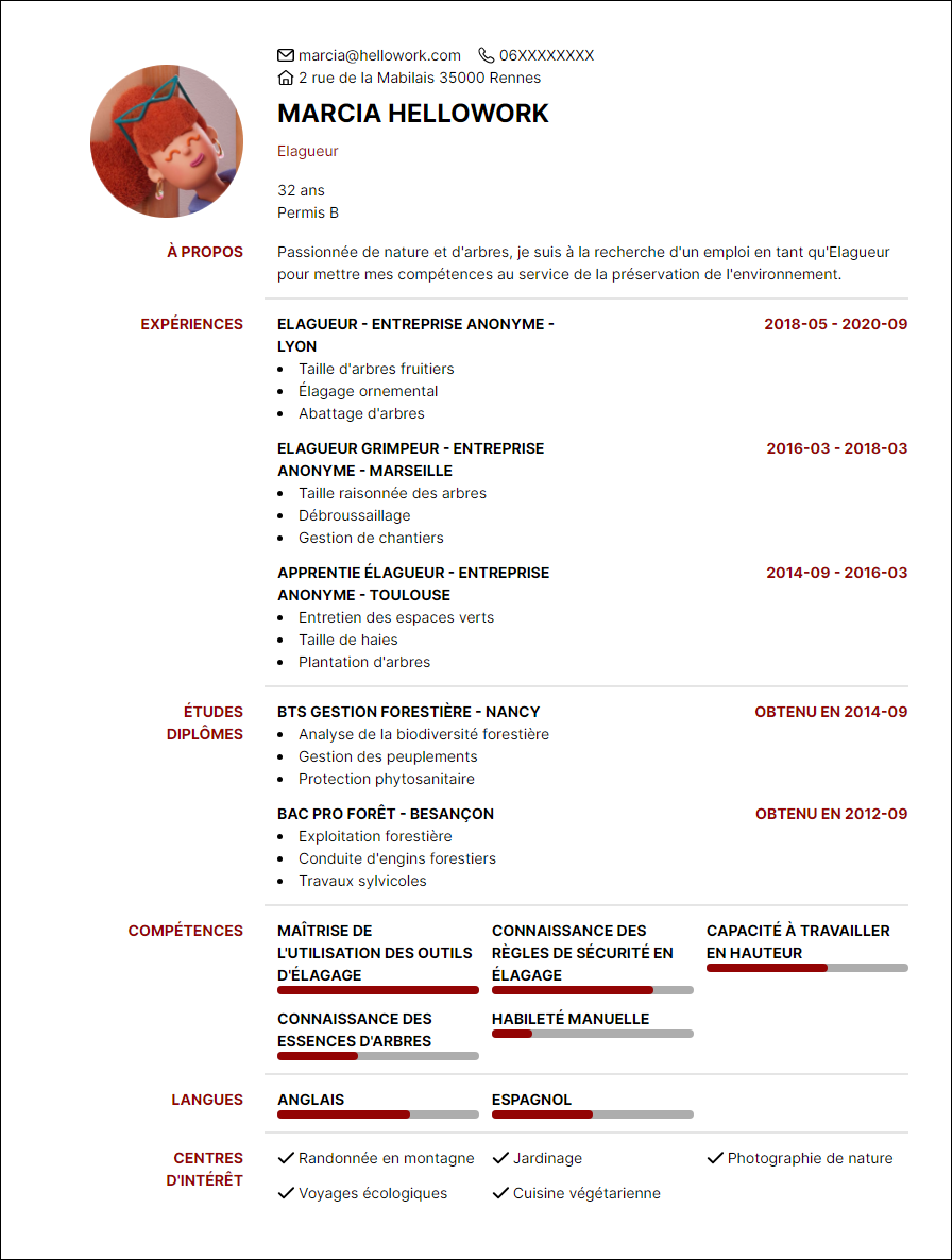 Modèle CV Bucheron Exemple CV Bucheron