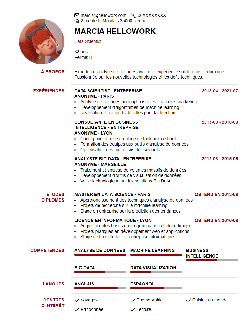 Modèle CV Expert Exemple CV Expert