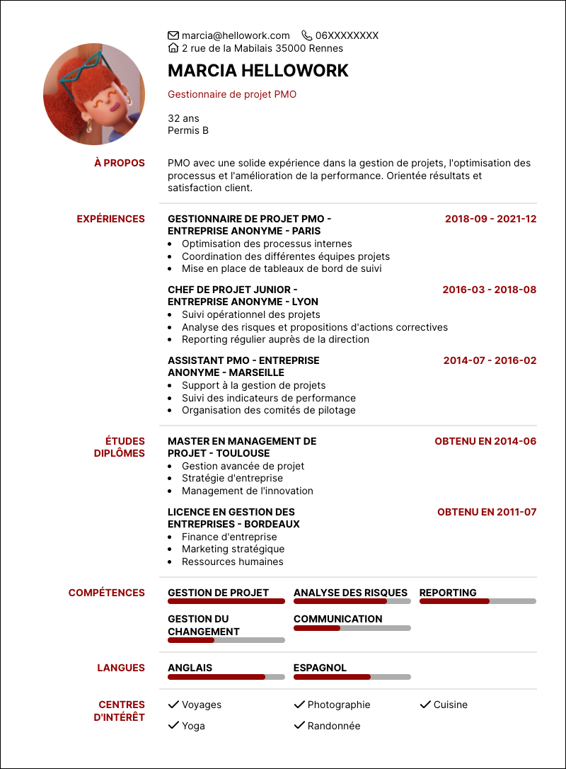 Modèle CV PMO Exemple CV PMO