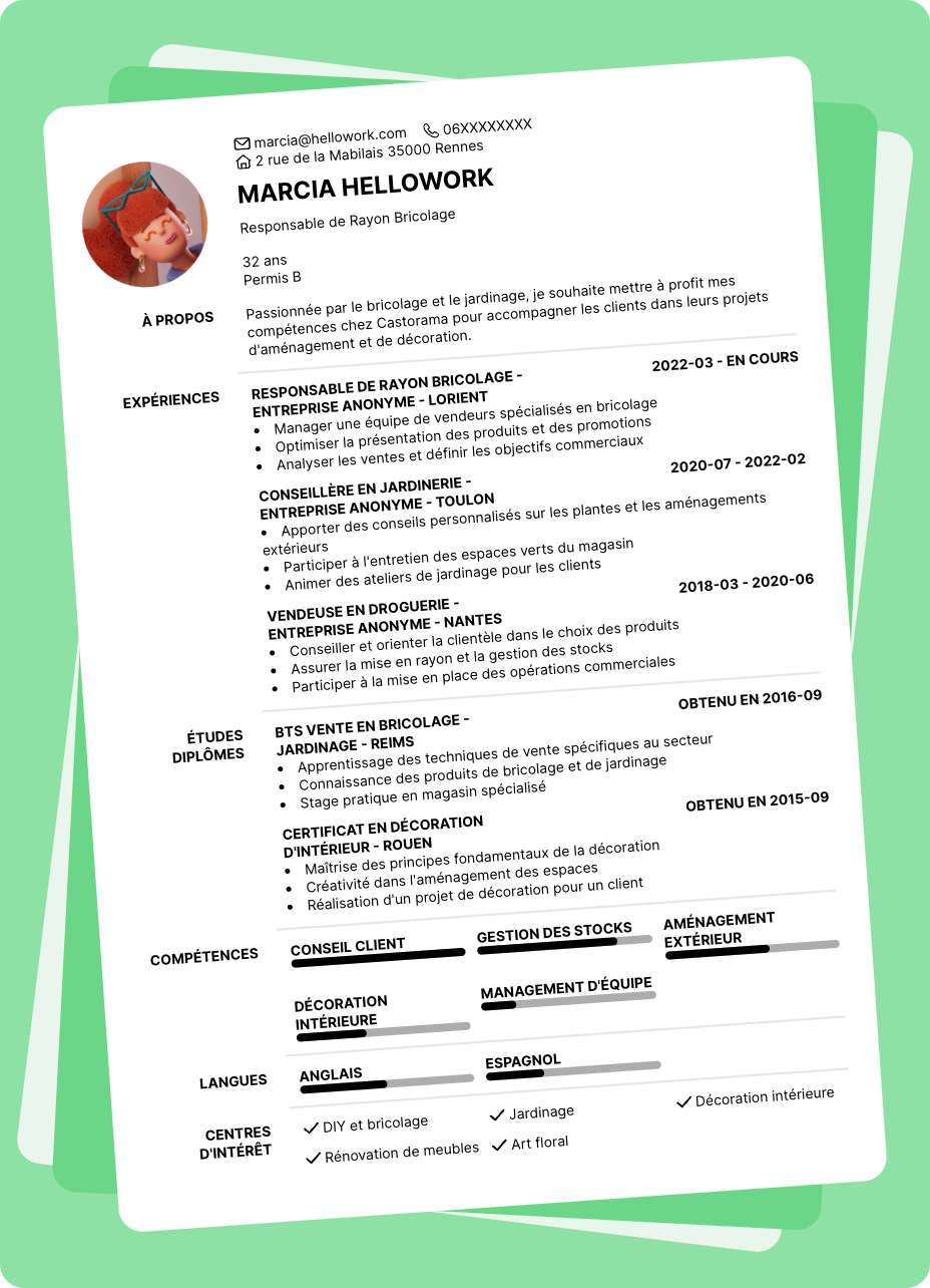 Exemple CV Castorama