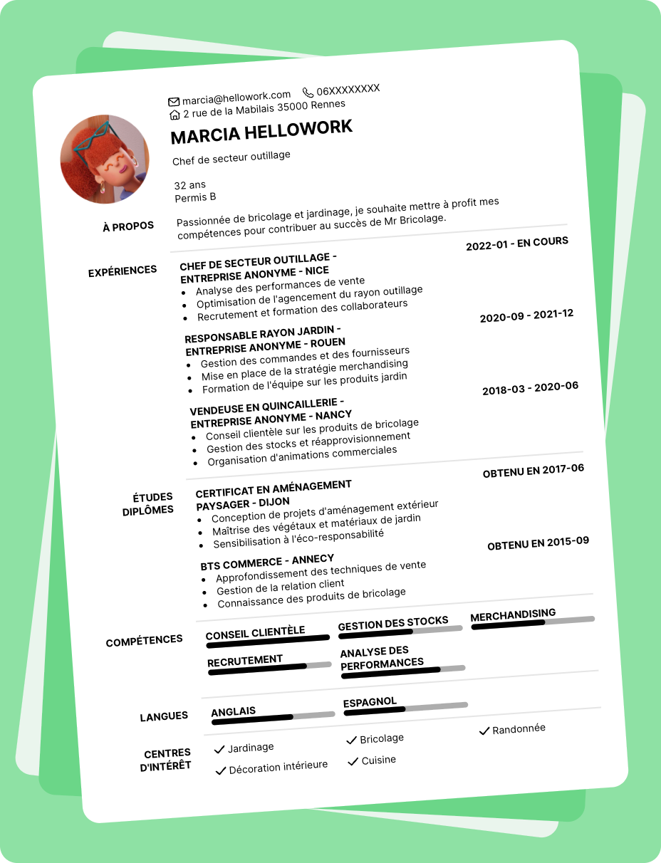 Exemple CV Mr Bricolage