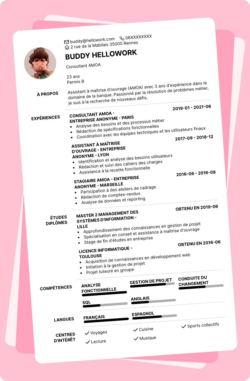 Modèle CV Consultant AMOA Exemple CV Consultant AMOA