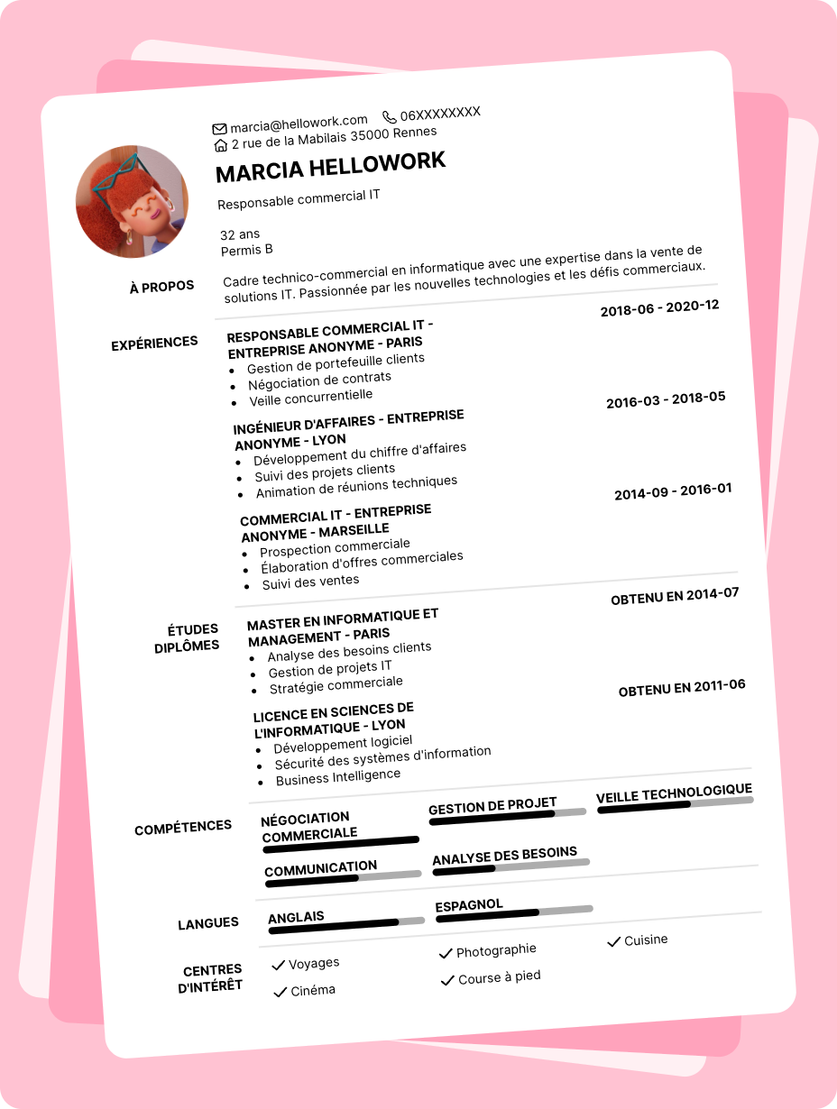 Exemple CV Cadre technico-commercial en informatique